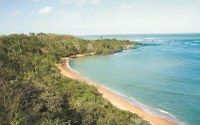 Aracruz inicia cadastro de voluntários para ajudar na limpeza das praias caso óleo chegue ao litoral.