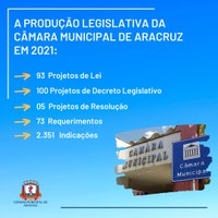 CÂMARA MUNICIPAL DIVULGA PRODUÇÃO LEGISLATIVA DO ANO 2021